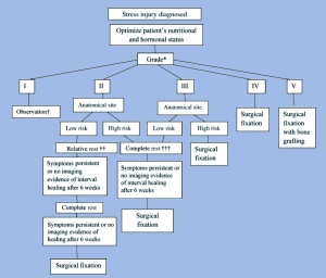 Figure 5. Treatment algorithm for stress injuries developed by MILLER and KAEDING ([5], p. 672)