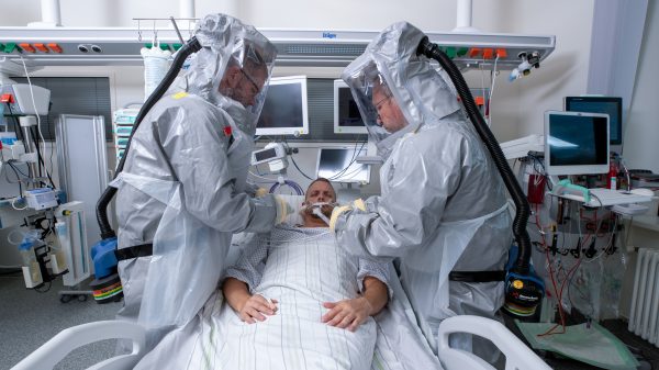 Tropical medicine: Example image for infectious diseases at the Bundeswehr hospital in Hamburg.