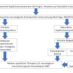 Abb. 3: Flowchart zur Behandlung unklarer Kopfschmerzsymptomatiken.