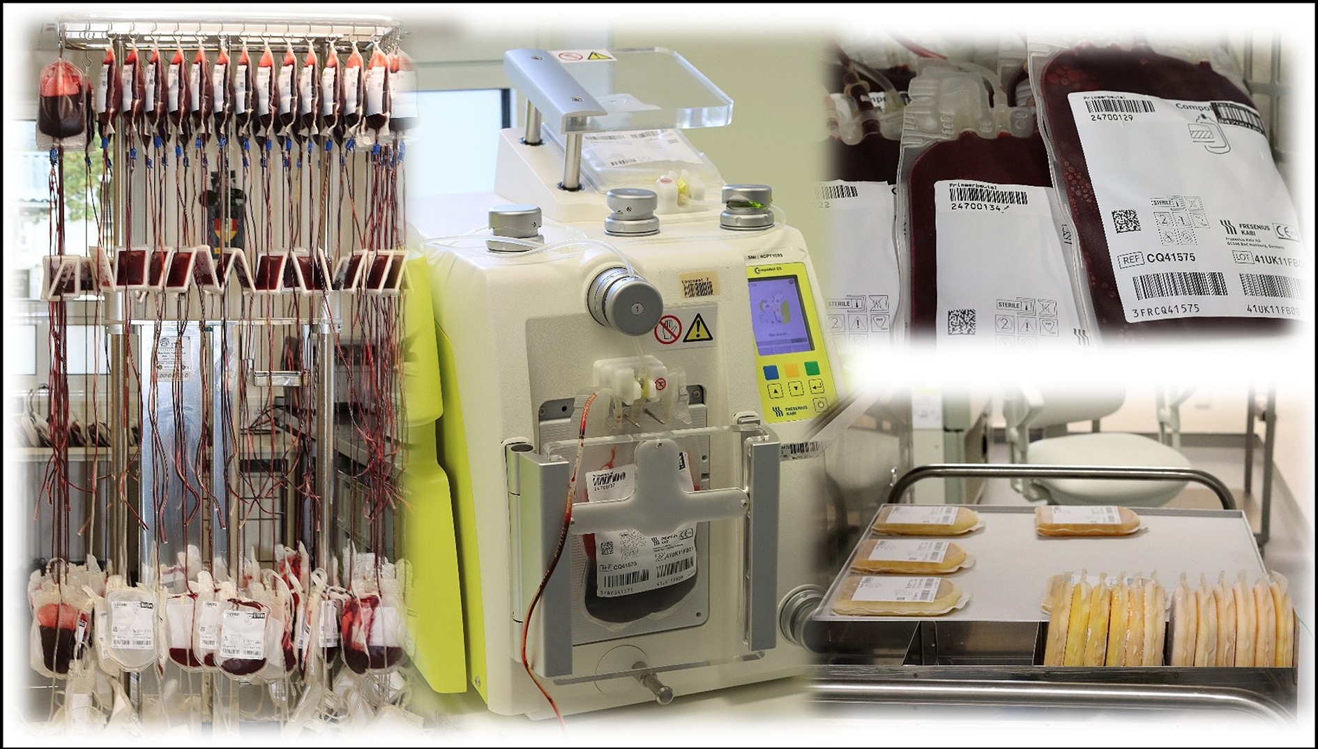 Herstellungsprozess von Blutprodukten (von links nach rechts): Filtration zur Leukozytendepletion, Auftrennung in Erythrozyten und Plasma, hergestellte Erythrozytenkonzentrate sowie gefrorenes Plasma
