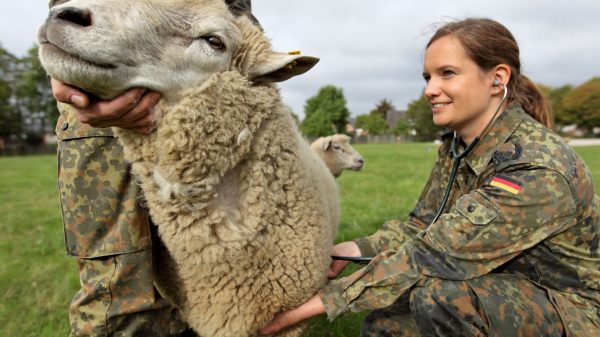 Überwachungsstellen: Untersuchung von Tieren auf Liegenschaften der Bundeswehr.