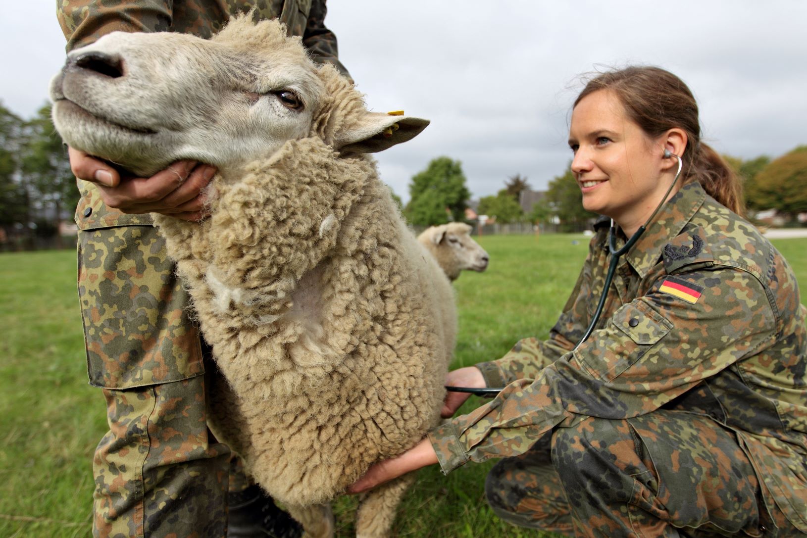 Überwachungsstellen: Untersuchung von Tieren auf Liegenschaften der Bundeswehr.