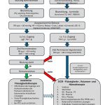 Fig. 2: Rationale of a possible treatment algorithm for hemorrhagic shock