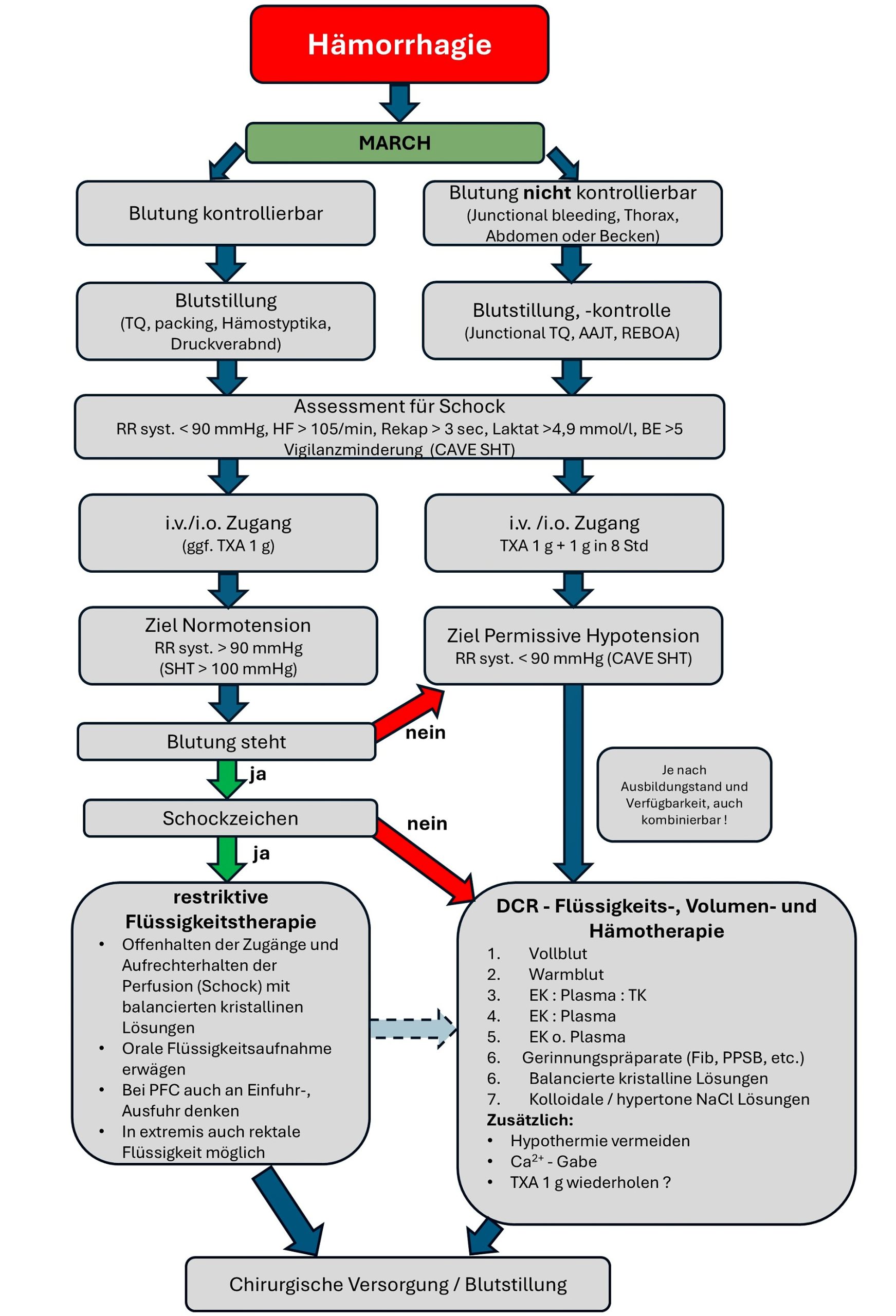 Fig. 2: Rationale of a possible treatment algorithm for hemorrhagic shock