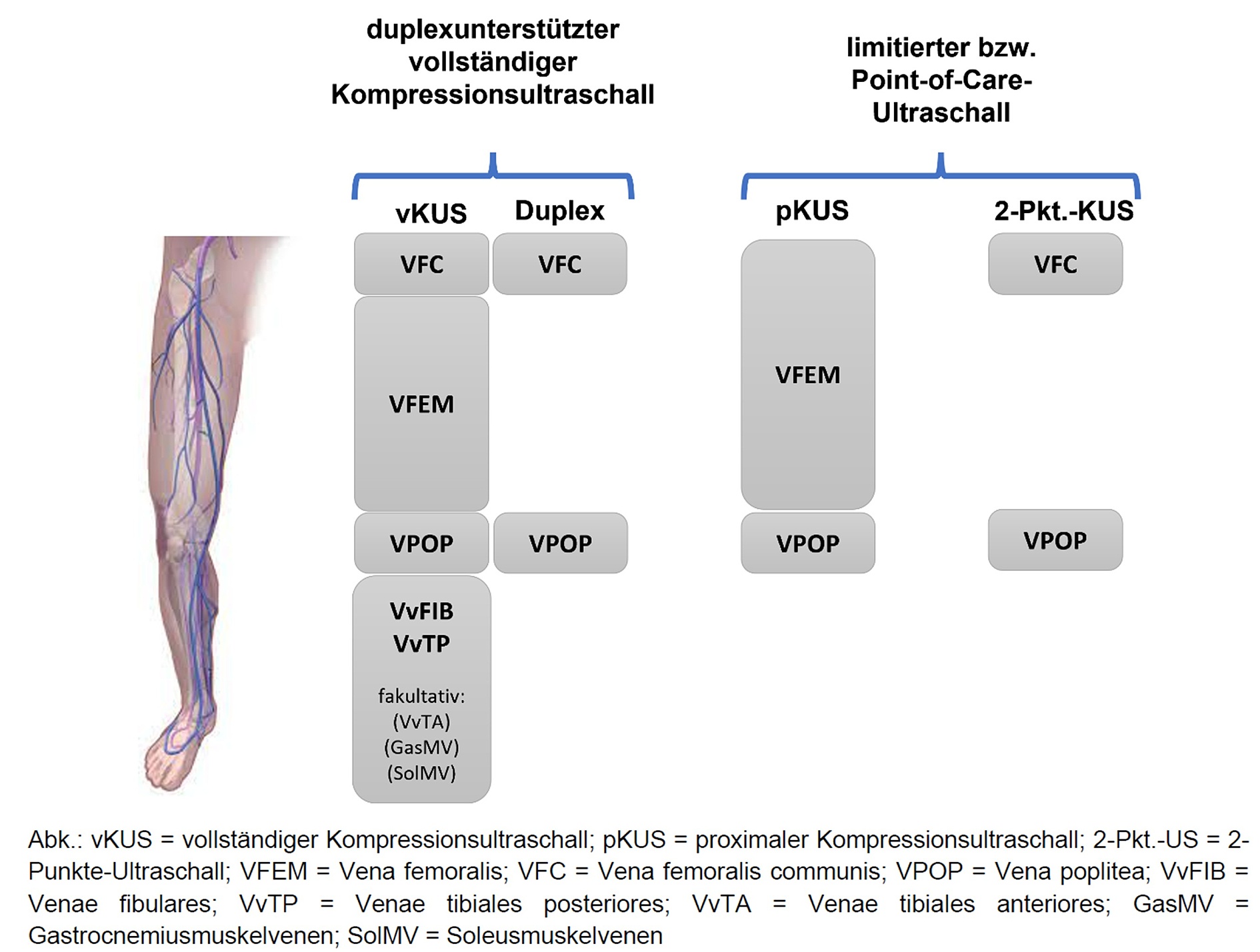 Abb. 3: Ultraschallstrategien bei Thromboseverdacht (Abbildung aus [5])