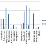 Veränderungen der Mikrobiota bei Patienten mit chronischer Sinusitis im Bundeswehrkrankenhaus Ulm (n = 222)