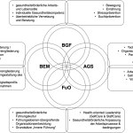 Organisationsbereiche des Betrieblichen Gesundheitsmanagements im Geschäftsbereich BMVg als klar abgegrenzte und zugleich nahtlos integrierte Systemelemente.