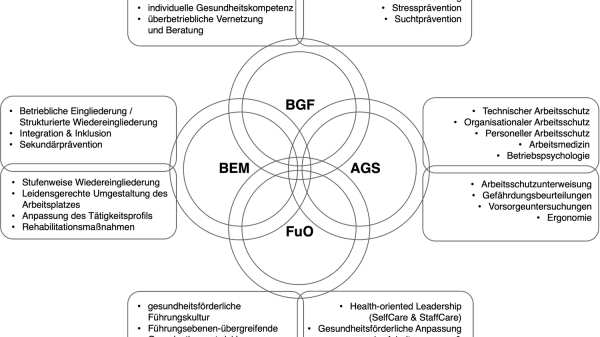 Organisationsbereiche des Betrieblichen Gesundheitsmanagements im Geschäftsbereich BMVg als klar abgegrenzte und zugleich nahtlos integrierte Systemelemente.
