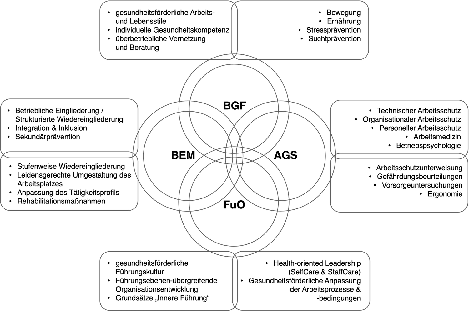 Organisationsbereiche des Betrieblichen Gesundheitsmanagements im Geschäftsbereich BMVg als klar abgegrenzte und zugleich nahtlos integrierte Systemelemente.