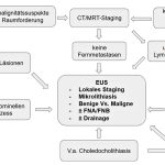Abb. 1: Diagnostischer Algorithmus für die Anwendung der EUS ohne Anspruch auf Vollständigkeit. CT – Computertomografie, FNA – Feinnadelaspiration, FNB – Feinnadelbiopsie, IPMN – Intraduktale papillär-muzinöse Neoplasie, MRT – Magnetresonanztomografie, MRCP – Magnetresonanz-Cholangiopankreatikografie.