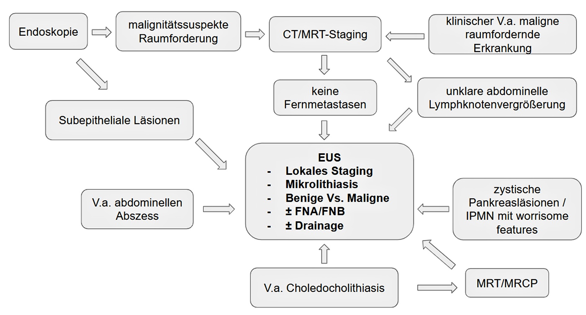 Abb. 1: Diagnostischer Algorithmus für die Anwendung der EUS ohne Anspruch auf Vollständigkeit. CT – Computertomografie, FNA – Feinnadelaspiration, FNB – Feinnadelbiopsie, IPMN – Intraduktale papillär-muzinöse Neoplasie, MRT – Magnetresonanztomografie, MRCP – Magnetresonanz-Cholangiopankreatikografie.