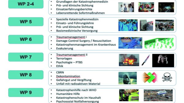 Selbsterstellte Themenübersicht „Wahlpflichtkurriculum (WP) Katastrophenmedizin“