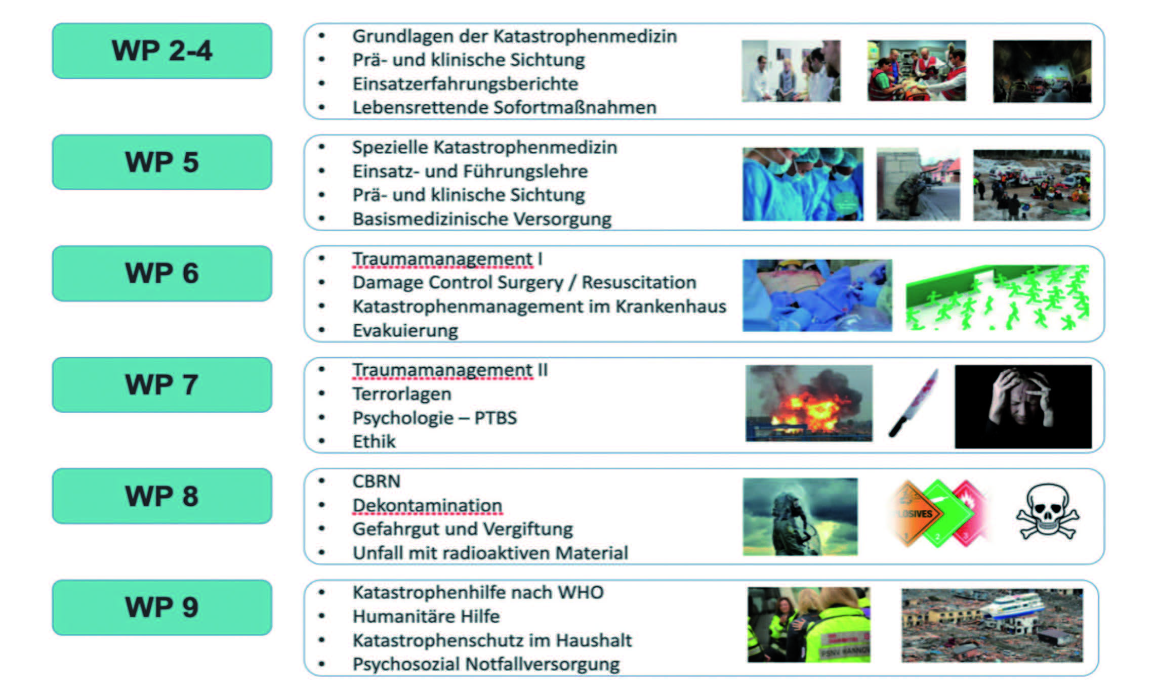 Selbsterstellte Themenübersicht „Wahlpflichtkurriculum (WP) Katastrophenmedizin“