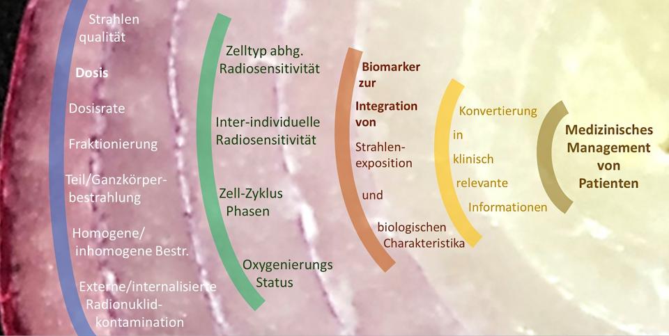 Darstellung des Konzepts von Biomarkern, die sowohl Charakteristika der...