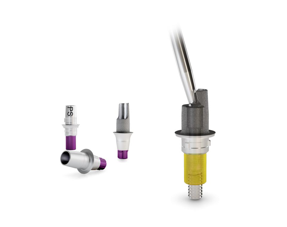 Die CAMLOG® & CONELOG® Titanbasen CAD/CAM free für den abgewinkelten...