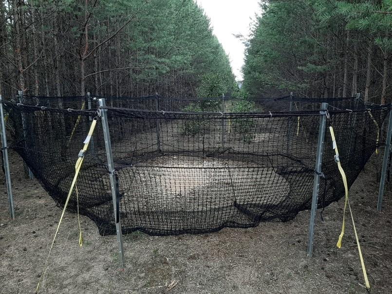 Netzfangfalle Pig Brig Trap®