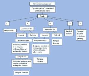 Abb. 5: Therapiealgorithmus für die Behandlung von Stressfrakturen von MILLER und KAEDING (Quelle: [5, S. 672])