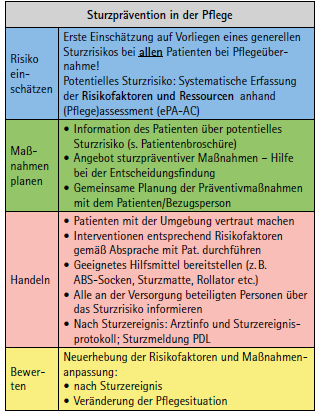 Tabelle 3: Umsetzung des NES Sturzprävention in der Pflege analog des...